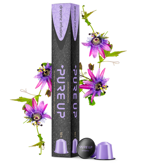 Dreamz Infusion Capsules 10pc
